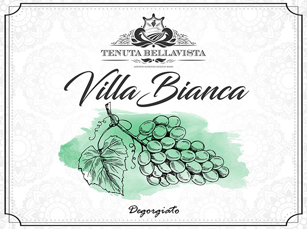 Villa-Bianca-SBOCC-2019.jpg